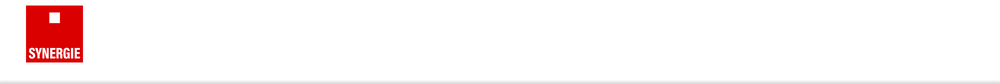 Synergie Italia - Alla pagina iniziale