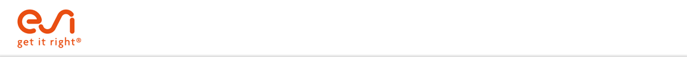 ESI Group - Zur Startseite
